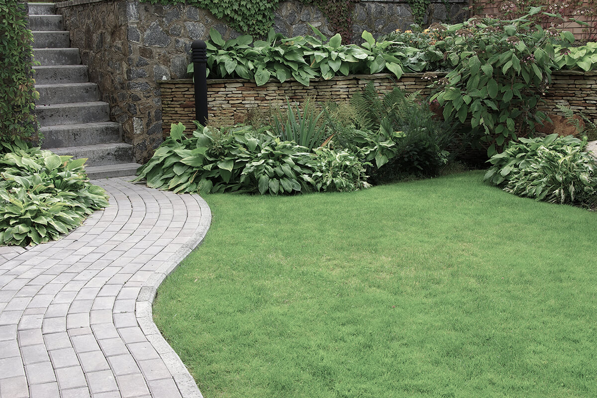 Welcome to South Wales Landscaping